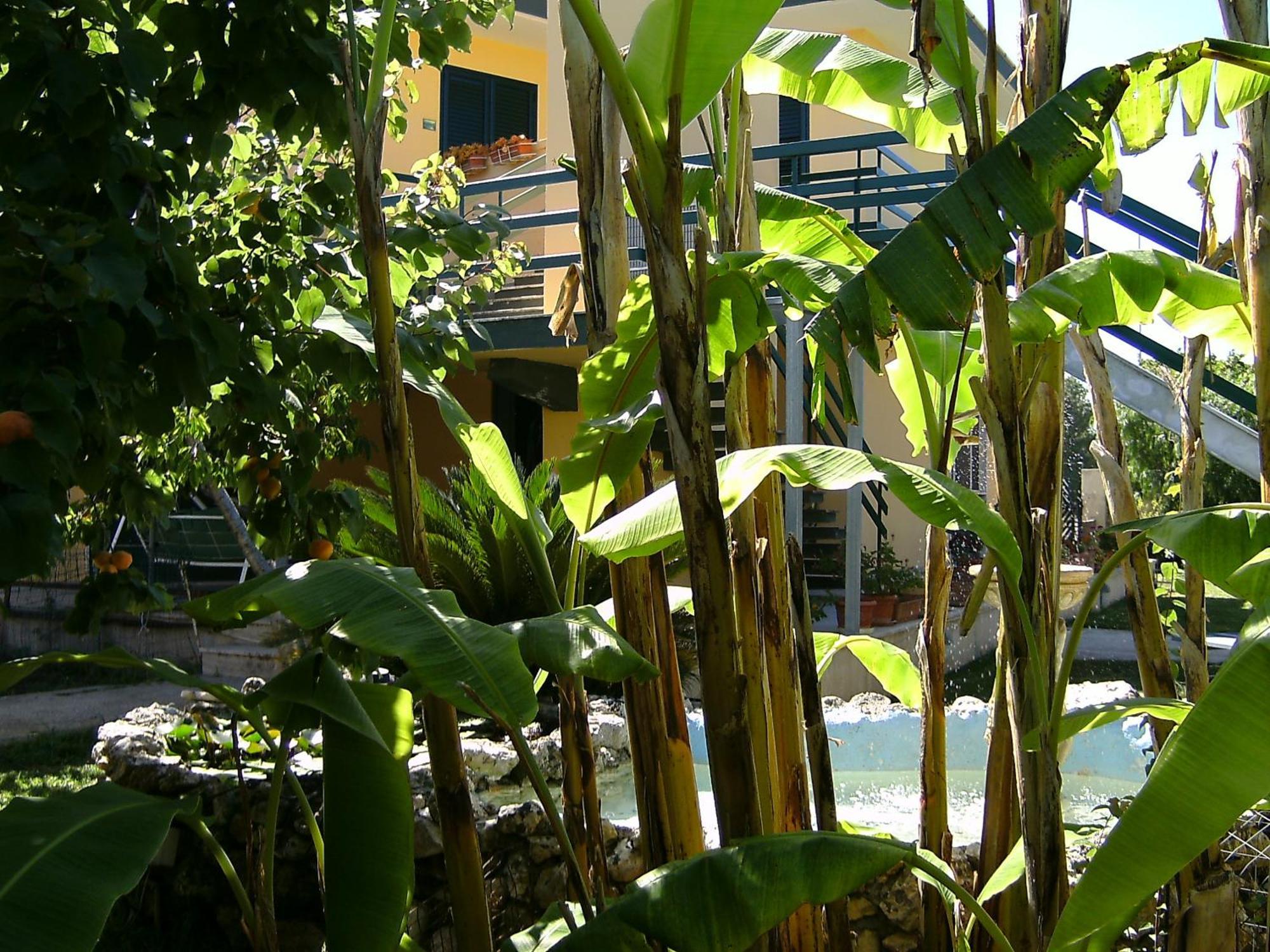 Vento Dell'Est Bed & Breakfast San Cataldo  Exterior photo