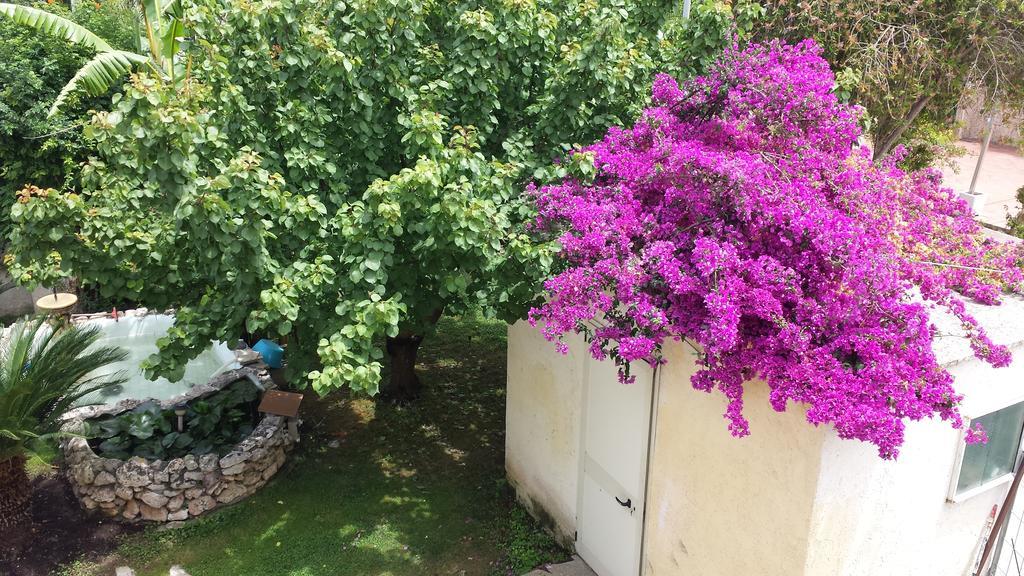 Vento Dell'Est Bed & Breakfast San Cataldo  Exterior photo